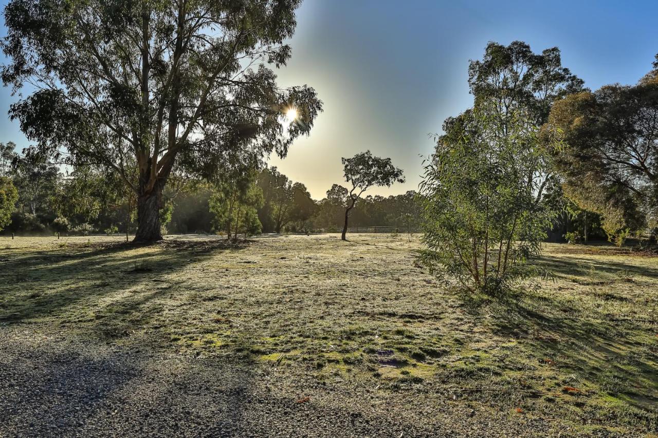 Mountain View Motor Inn & Holiday Lodges Halls Gap Dış mekan fotoğraf