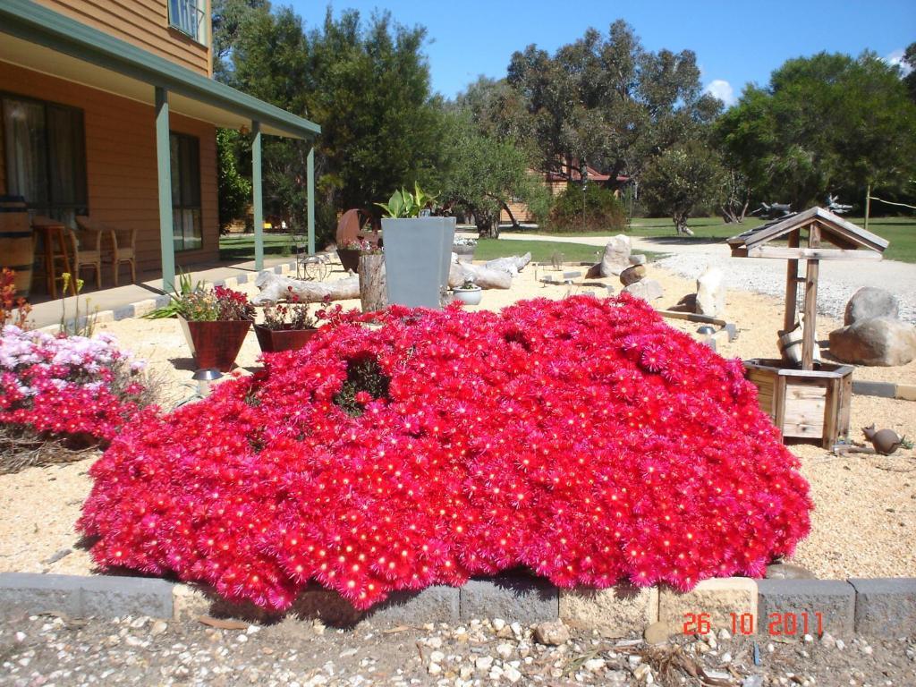 Mountain View Motor Inn & Holiday Lodges Halls Gap Dış mekan fotoğraf